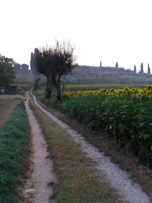 Podere Gian Battaglia Fucecchio Ngoại thất bức ảnh