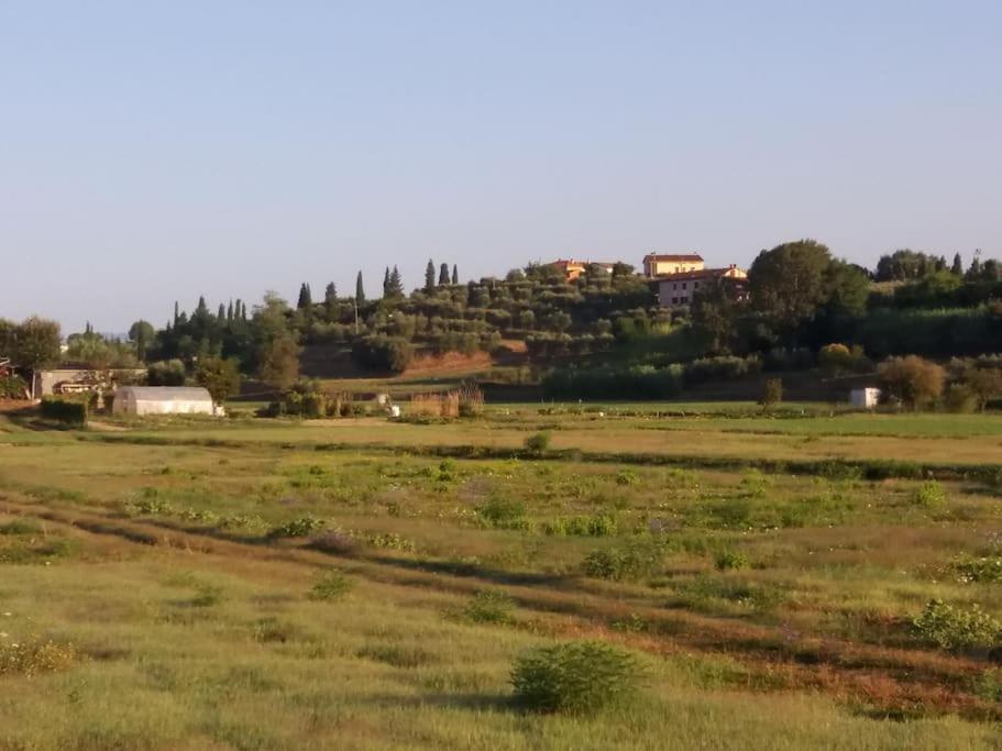 Podere Gian Battaglia Fucecchio Ngoại thất bức ảnh