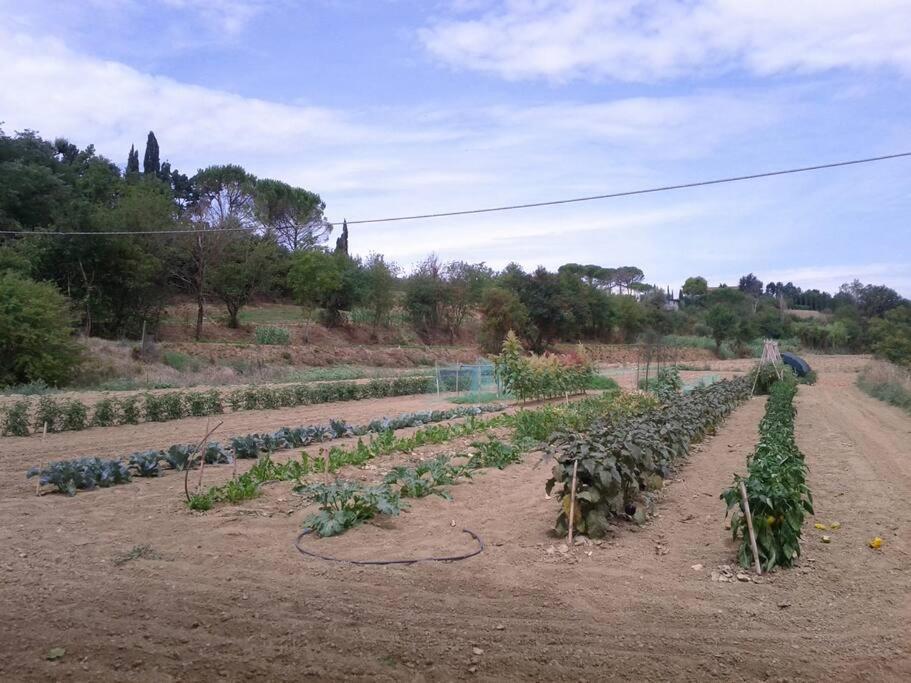 Podere Gian Battaglia Fucecchio Ngoại thất bức ảnh