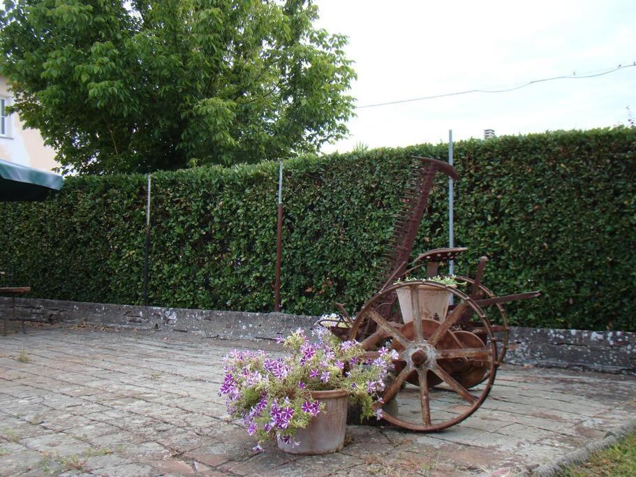 Podere Gian Battaglia Fucecchio Ngoại thất bức ảnh