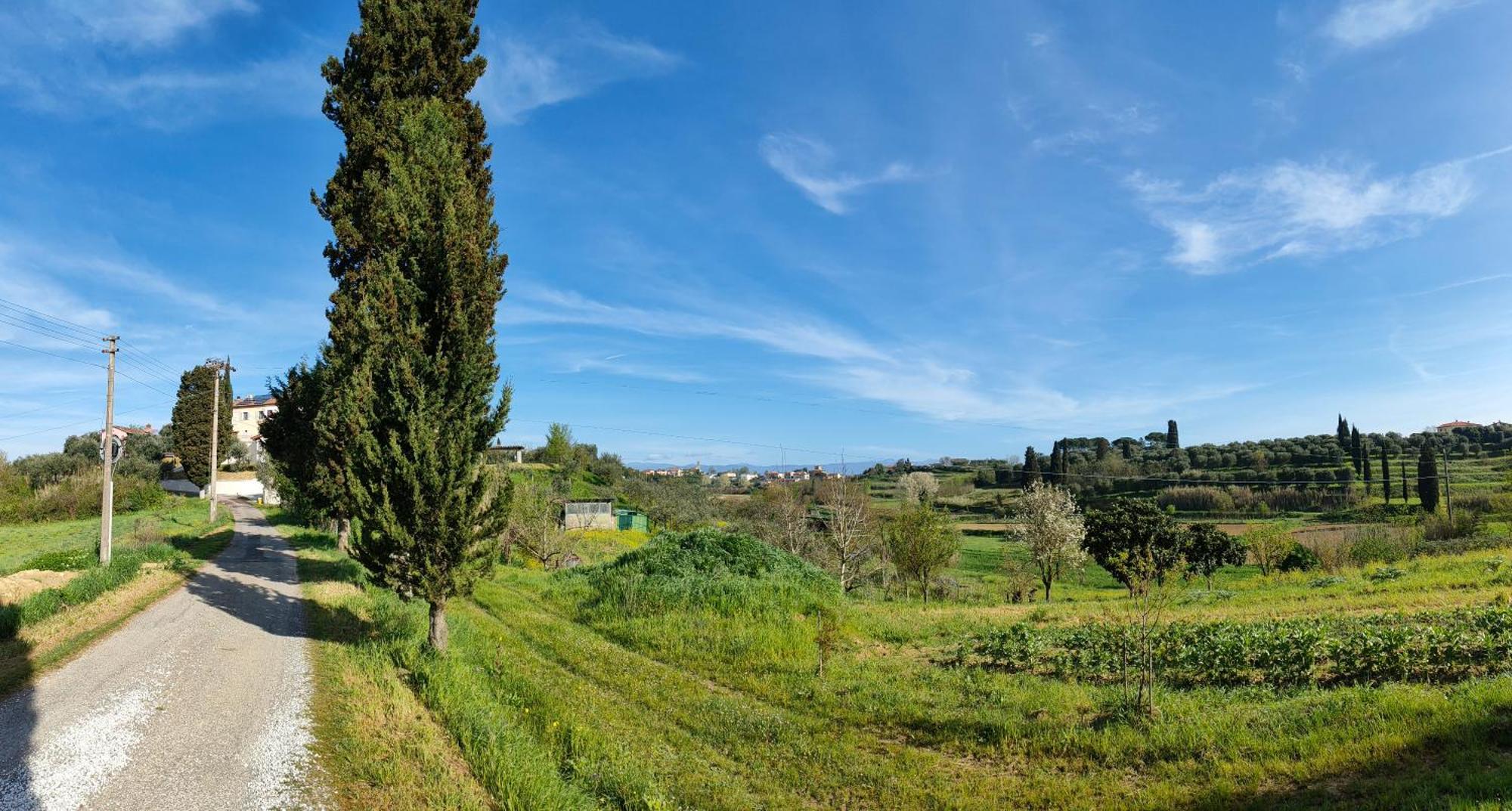 Podere Gian Battaglia Fucecchio Ngoại thất bức ảnh