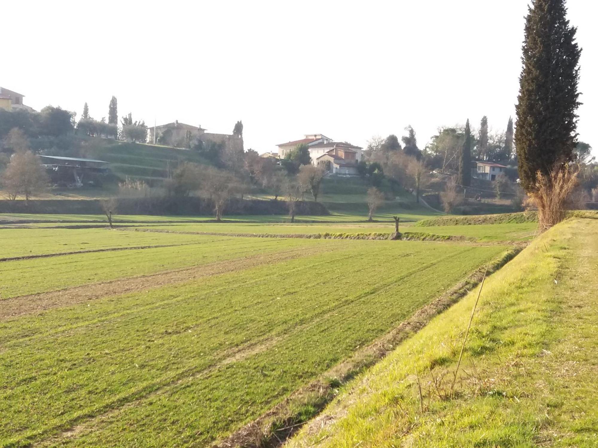 Podere Gian Battaglia Fucecchio Ngoại thất bức ảnh