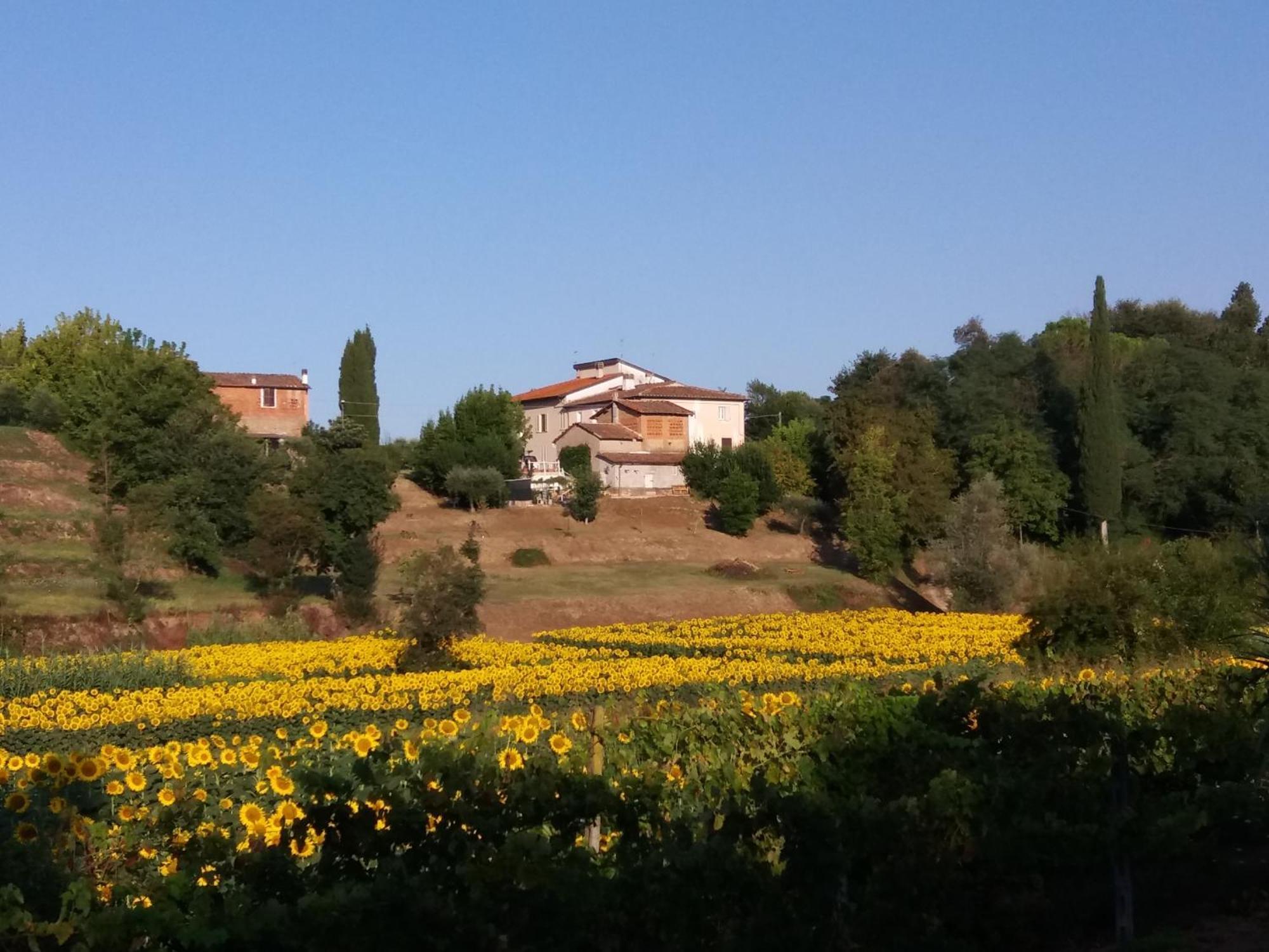 Podere Gian Battaglia Fucecchio Ngoại thất bức ảnh