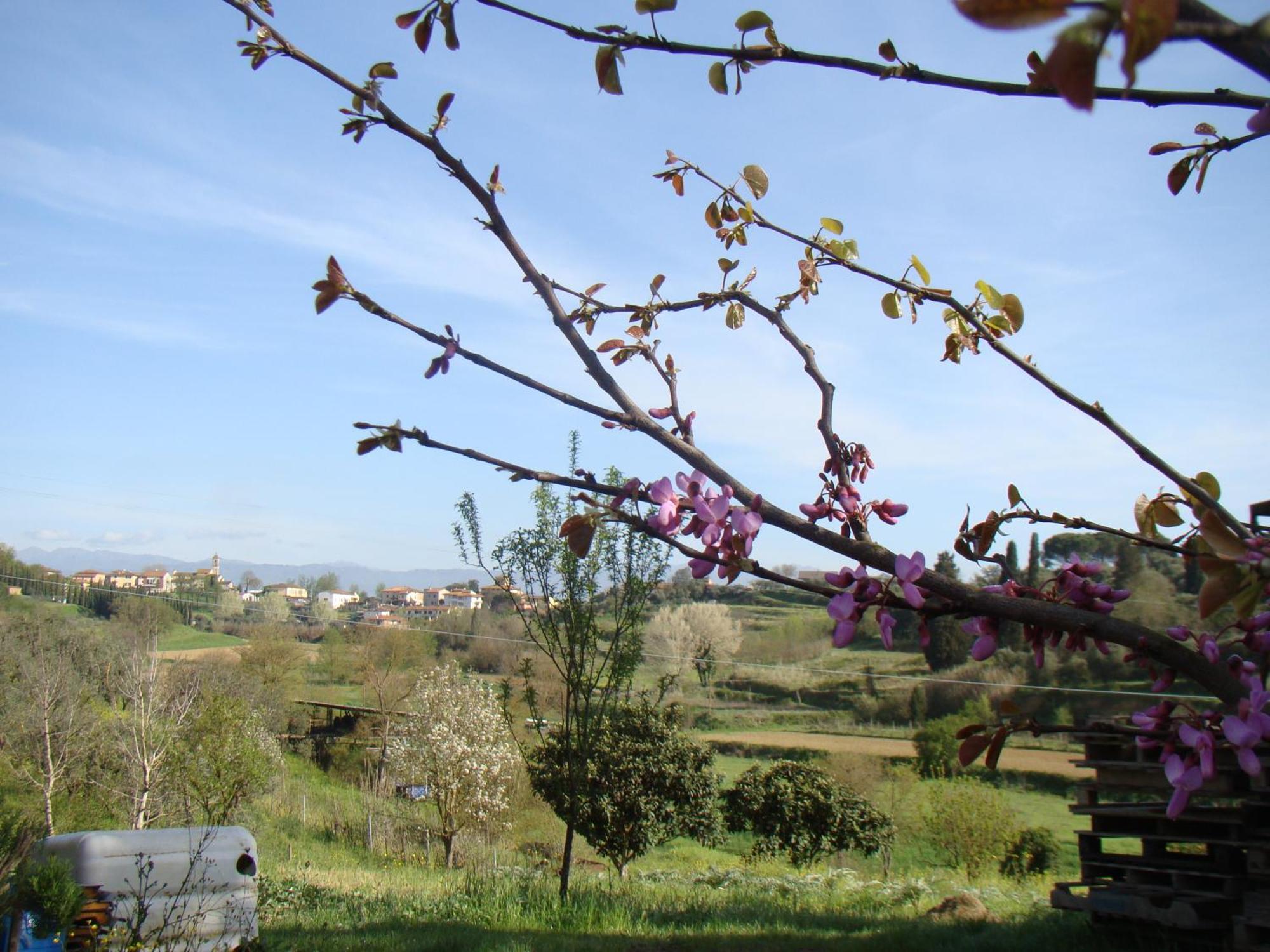 Podere Gian Battaglia Fucecchio Ngoại thất bức ảnh
