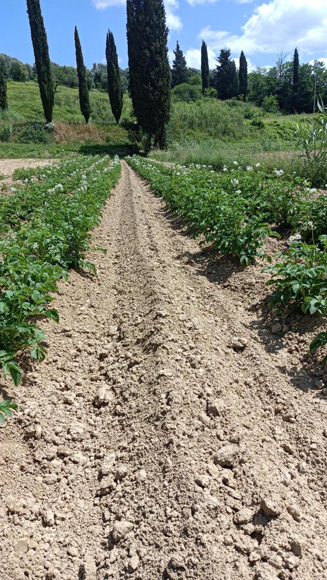 Podere Gian Battaglia Fucecchio Ngoại thất bức ảnh