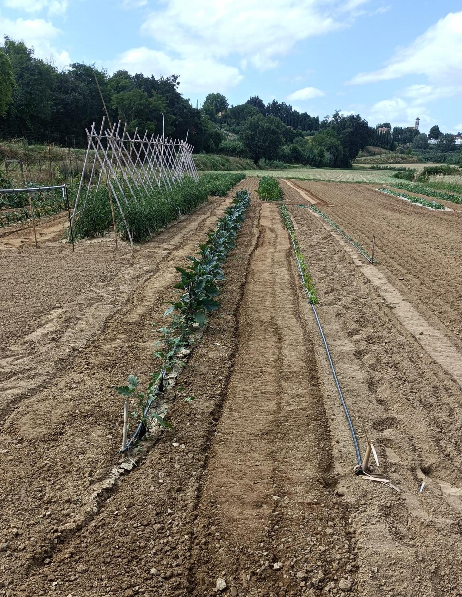 Podere Gian Battaglia Fucecchio Ngoại thất bức ảnh